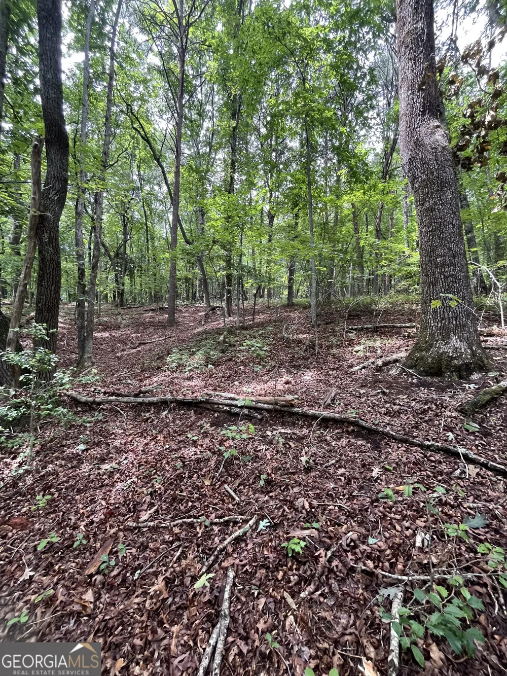 0 White Stone DR Cleveland, GA 30528