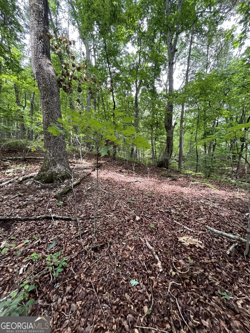 0 White Stone DR Cleveland, GA 30528