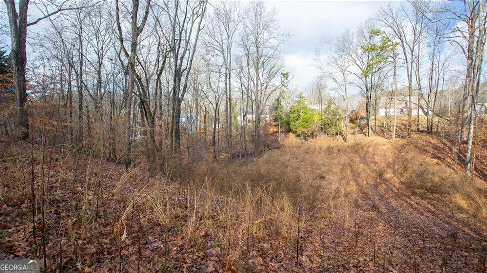 3697 Cameron CIR Gainesville, GA 30506