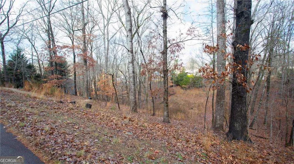 3697 Cameron CIR Gainesville, GA 30506