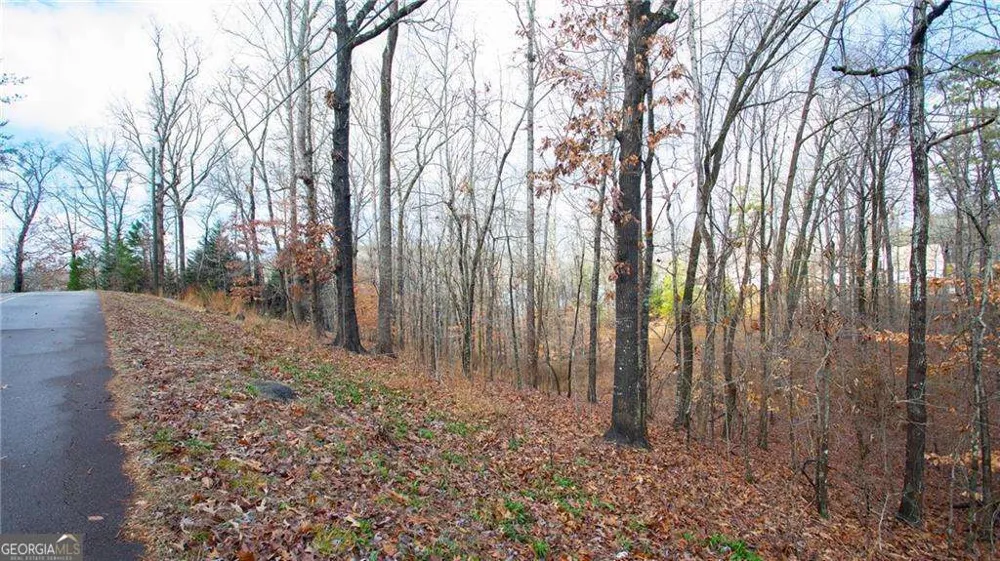 3697 Cameron CIR Gainesville, GA 30506