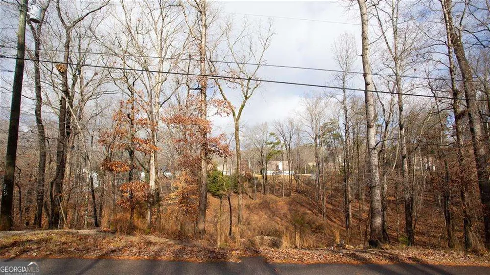 3697 Cameron CIR Gainesville, GA 30506