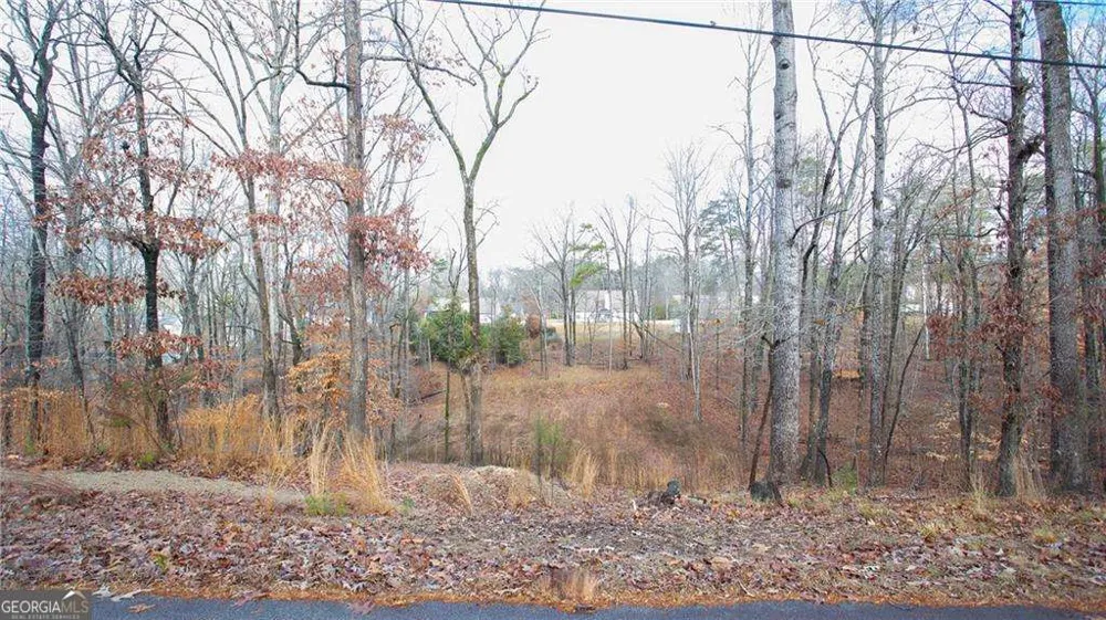 3697 Cameron CIR Gainesville, GA 30506