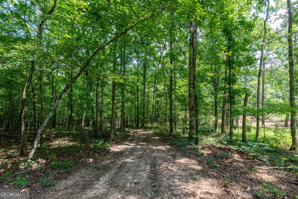 543 Faust Farm RD Crawford, GA 30630