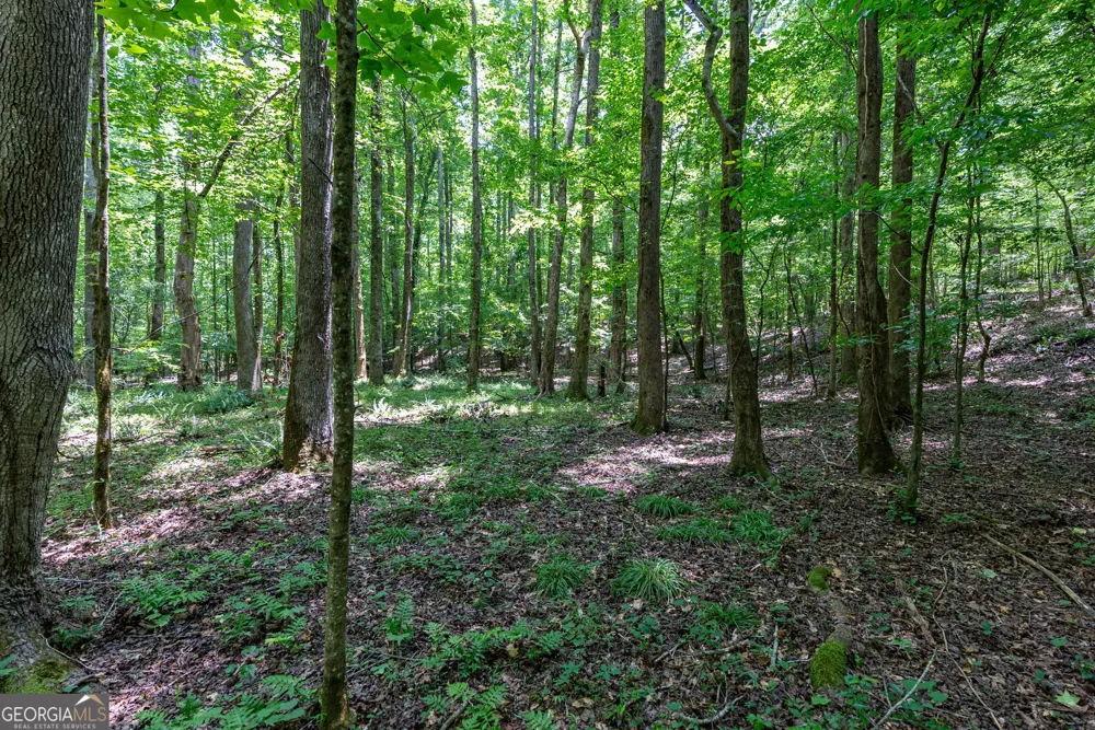 543 Faust Farm RD Crawford, GA 30630