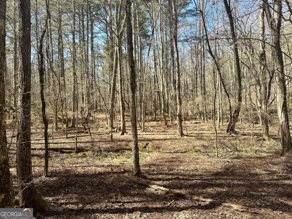 555 Larmon Forks RD Dahlonega, GA 30533