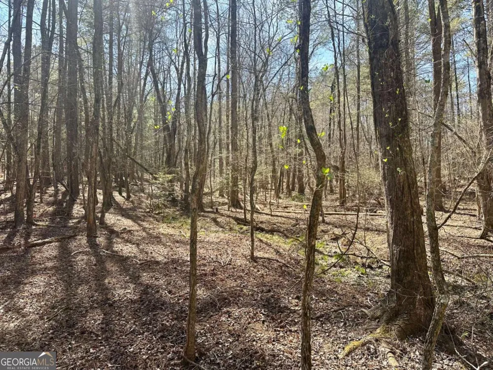 555 Larmon Forks RD Dahlonega, GA 30533