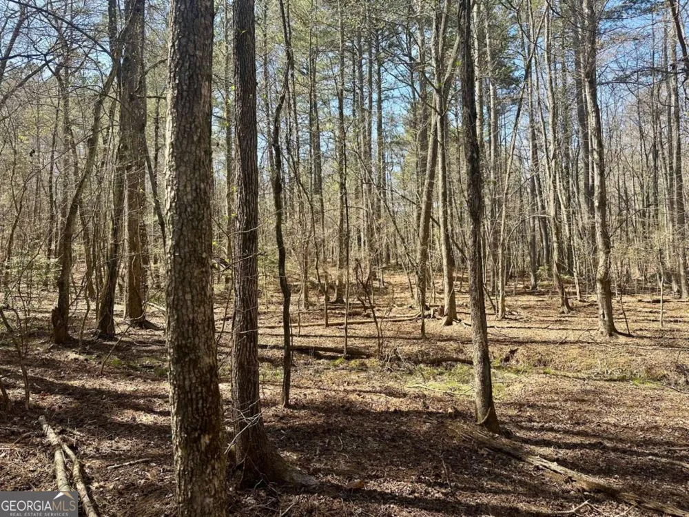 555 Larmon Forks RD Dahlonega, GA 30533