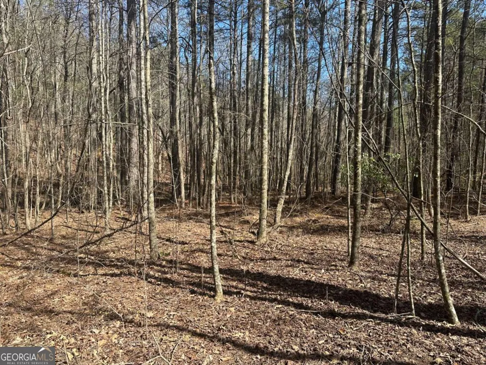 555 Larmon Forks RD Dahlonega, GA 30533