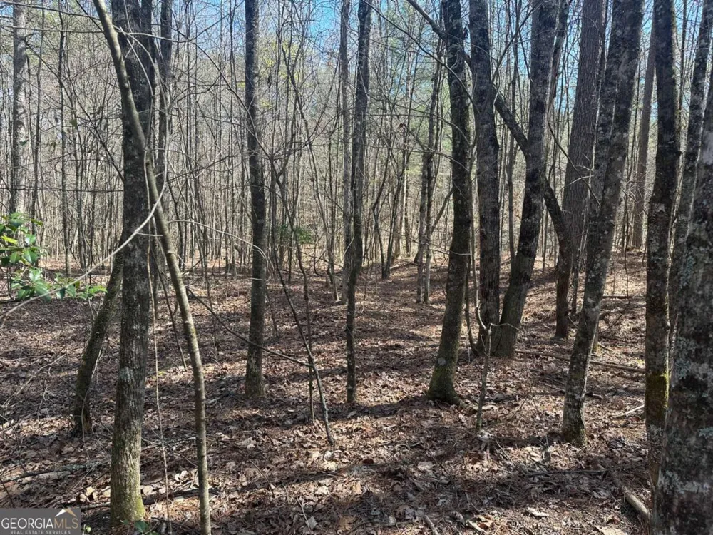 555 Larmon Forks RD Dahlonega, GA 30533