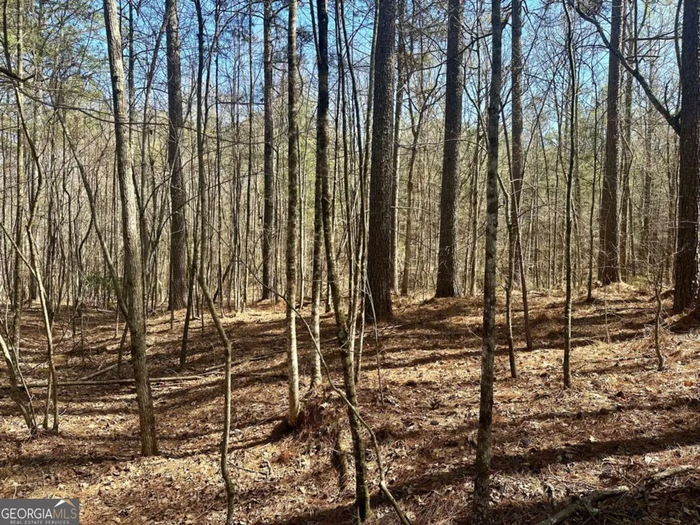 555 Larmon Forks RD Dahlonega, GA 30533