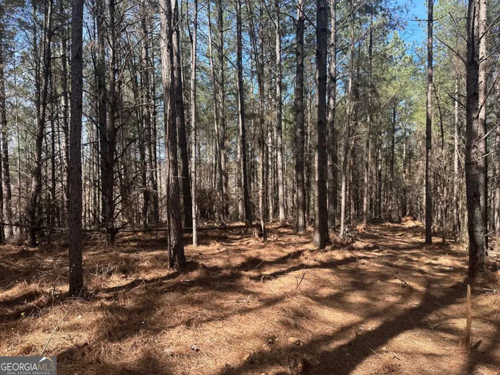 555 Larmon Forks RD Dahlonega, GA 30533