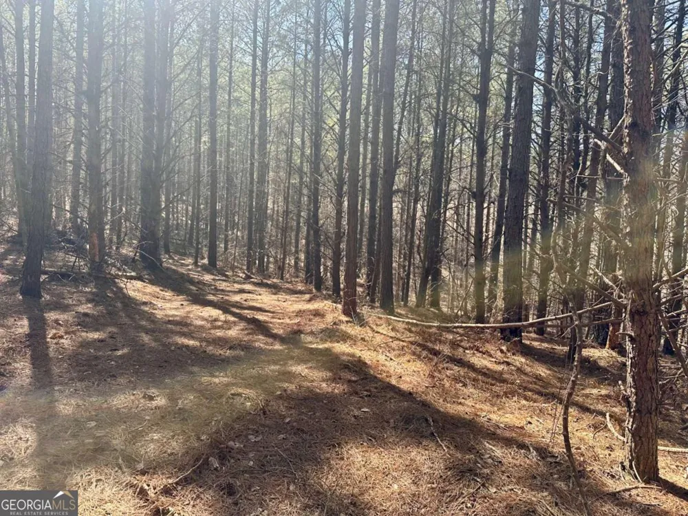 555 Larmon Forks RD Dahlonega, GA 30533