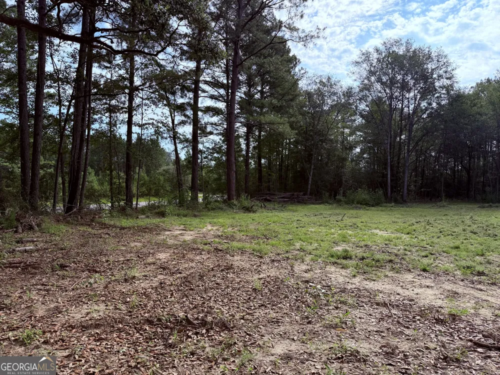 3980 Mosely RD Claxton, GA 30417