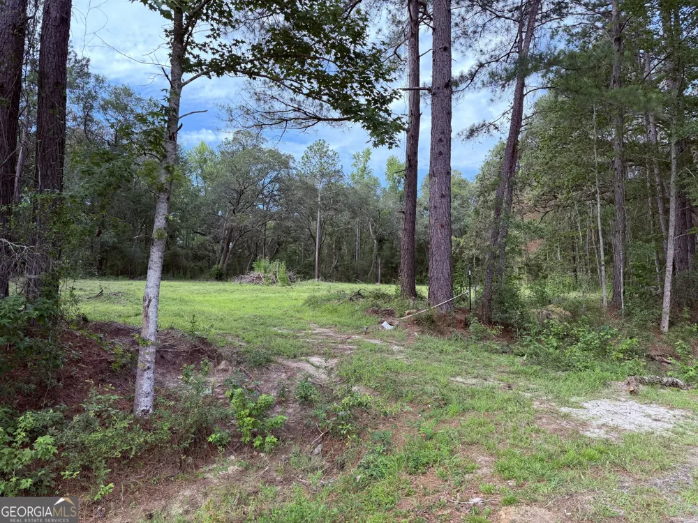 3980 Mosely RD Claxton, GA 30417