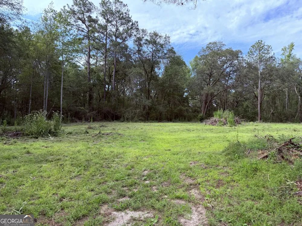 3980 Mosely RD Claxton, GA 30417