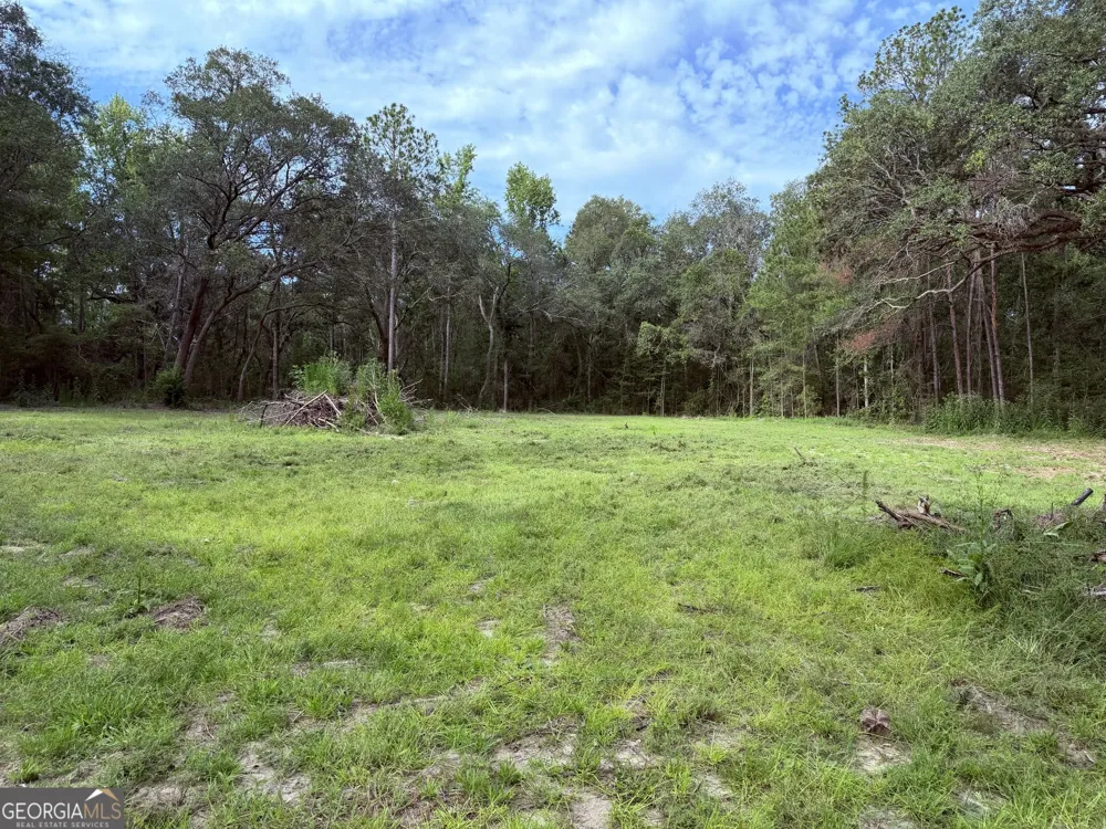 3980 Mosely RD Claxton, GA 30417
