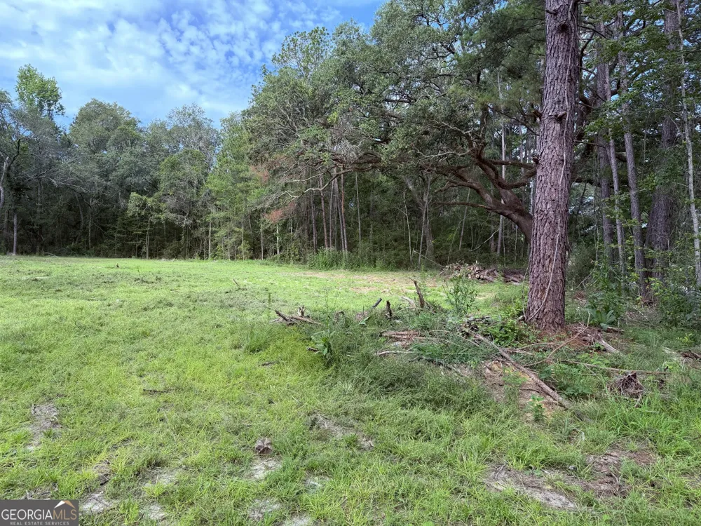3980 Mosely RD Claxton, GA 30417