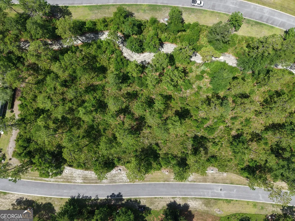 LOT 14 Blue Heron TRL Waverly, GA 31565