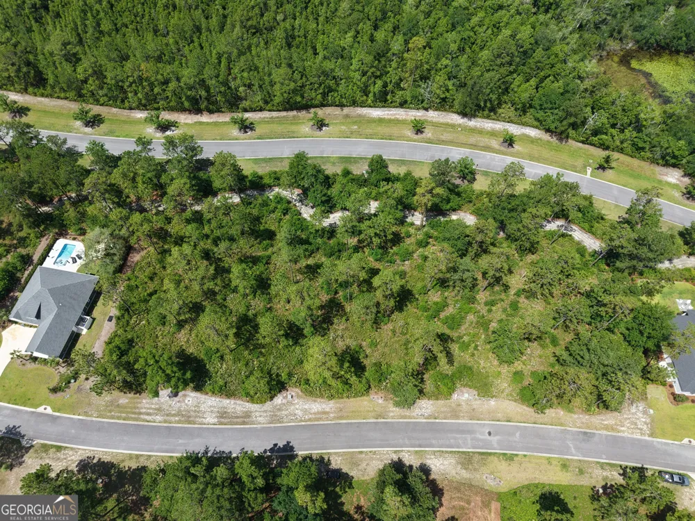LOT 14 Blue Heron TRL Waverly, GA 31565