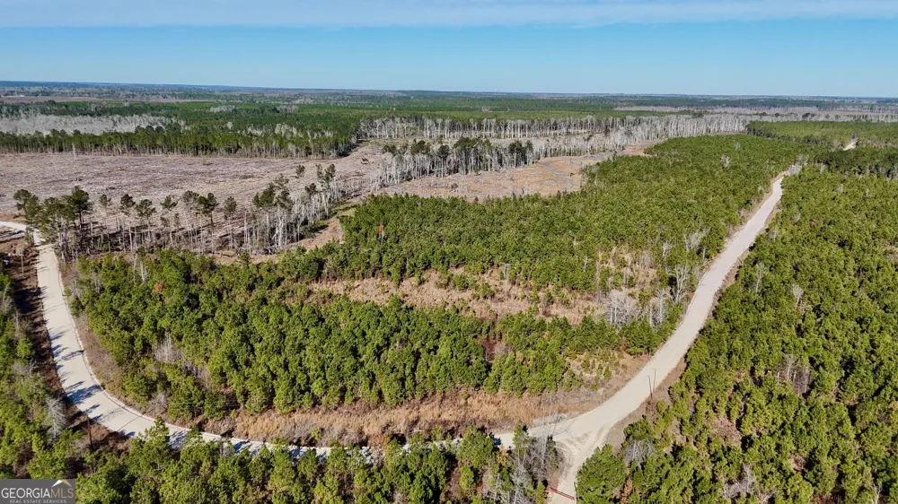 0 Tillman Cemetery RD Lumber City, GA 31549