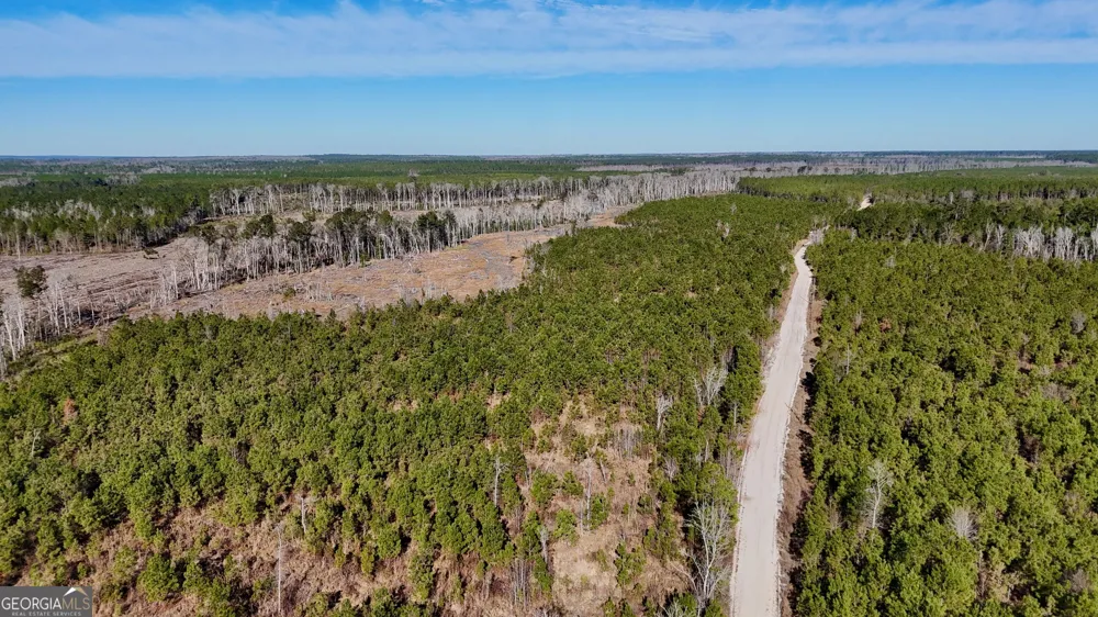 0 Tillman Cemetery RD Lumber City, GA 31549