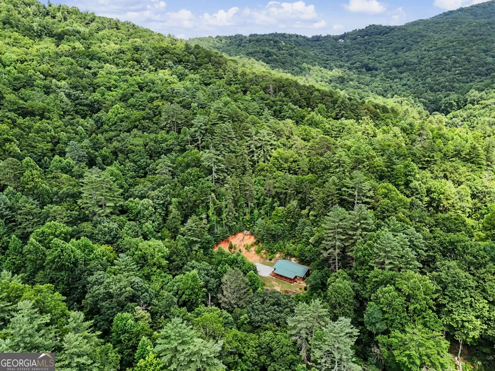 118 Cub LN Rabun Gap, GA 30568
