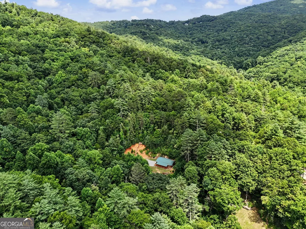 118 Cub LN Rabun Gap, GA 30568