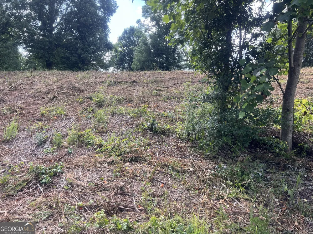 373 Stonington DR Mount Airy, GA 30563
