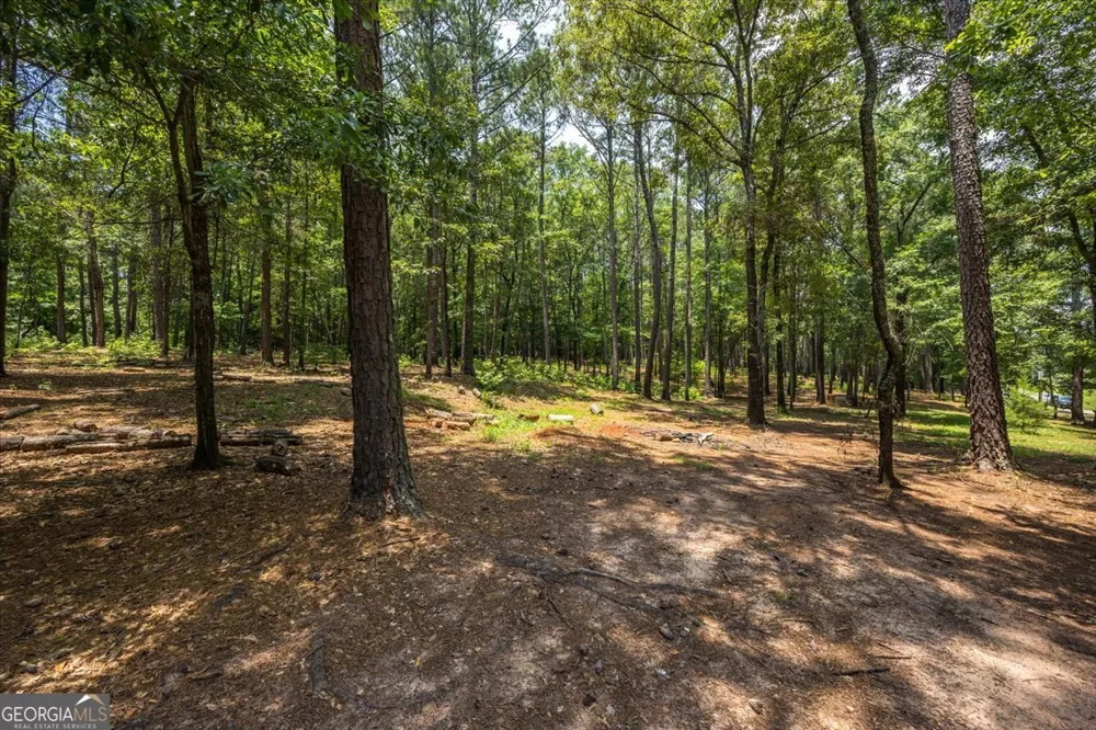 409 Madison LN Forsyth, GA 31029