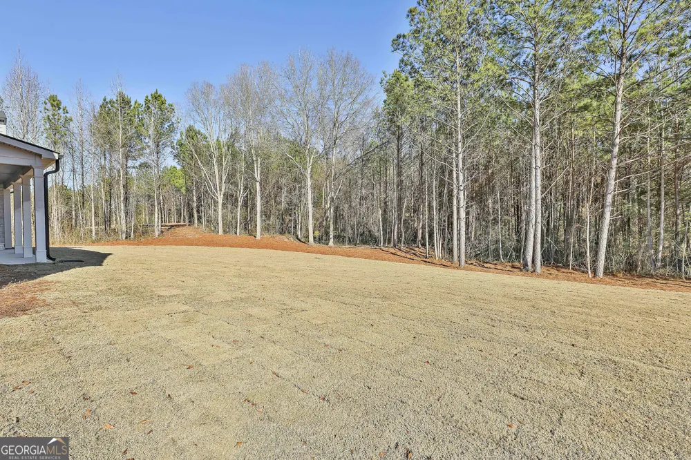 757 Alex Stephens RD Moreland, GA 30259