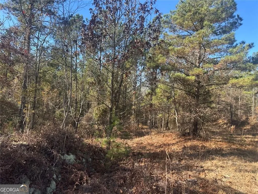0 N Indian Trail RD Sandersville, GA 31082
