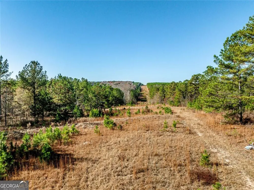 0 N Indian Trail RD Sandersville, GA 31082