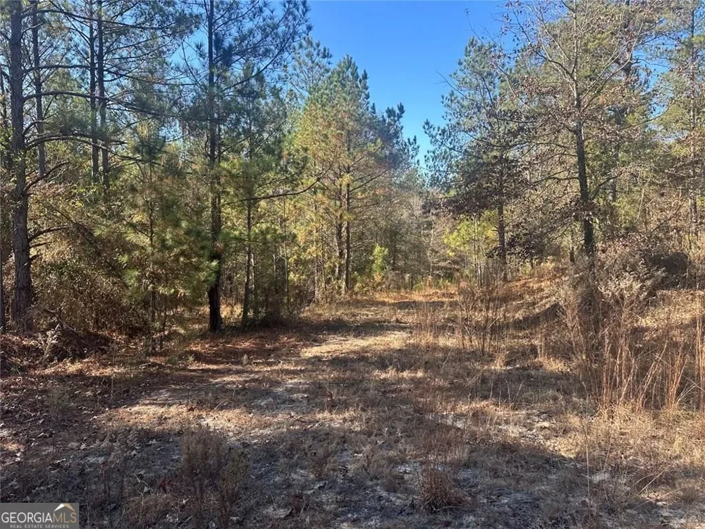 0 N Indian Trail RD Sandersville, GA 31082