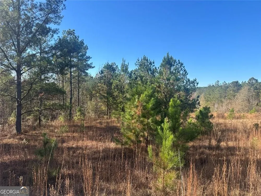 0 N Indian Trail RD Sandersville, GA 31082