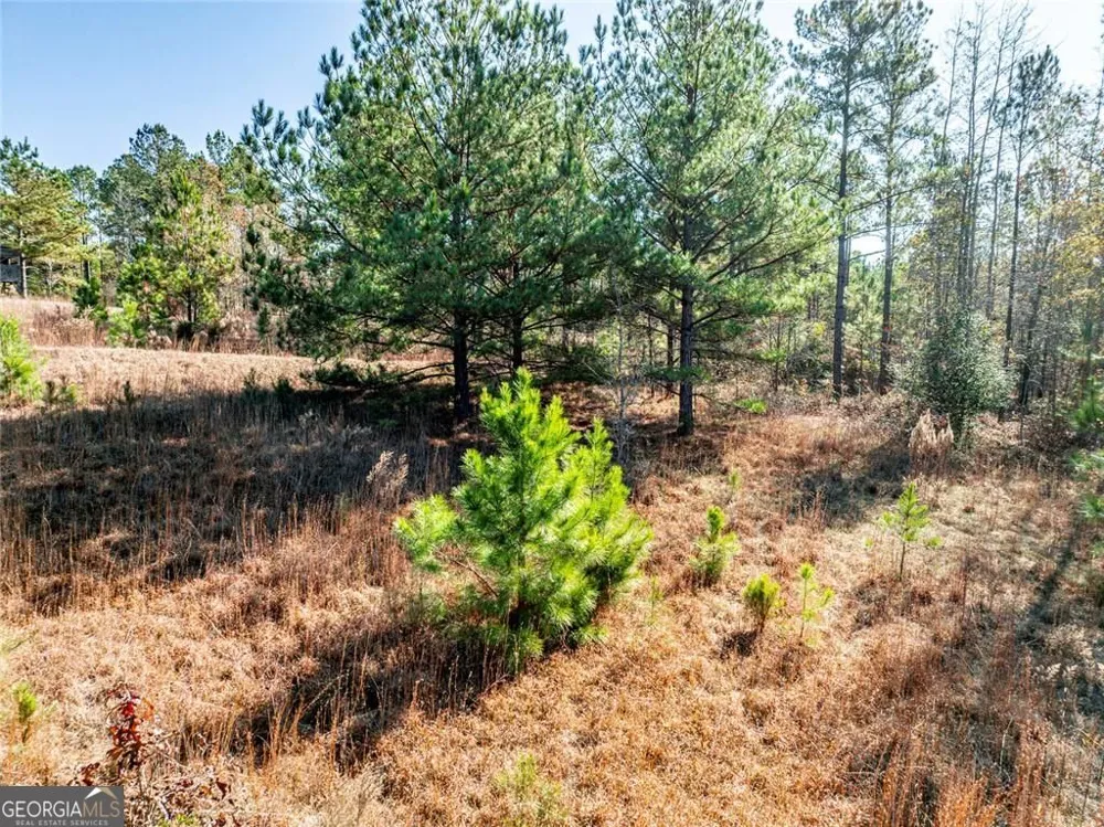 0 N Indian Trail RD Sandersville, GA 31082