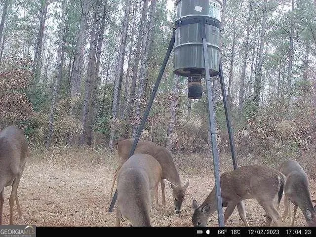 0 N Indian Trail RD Sandersville, GA 31082
