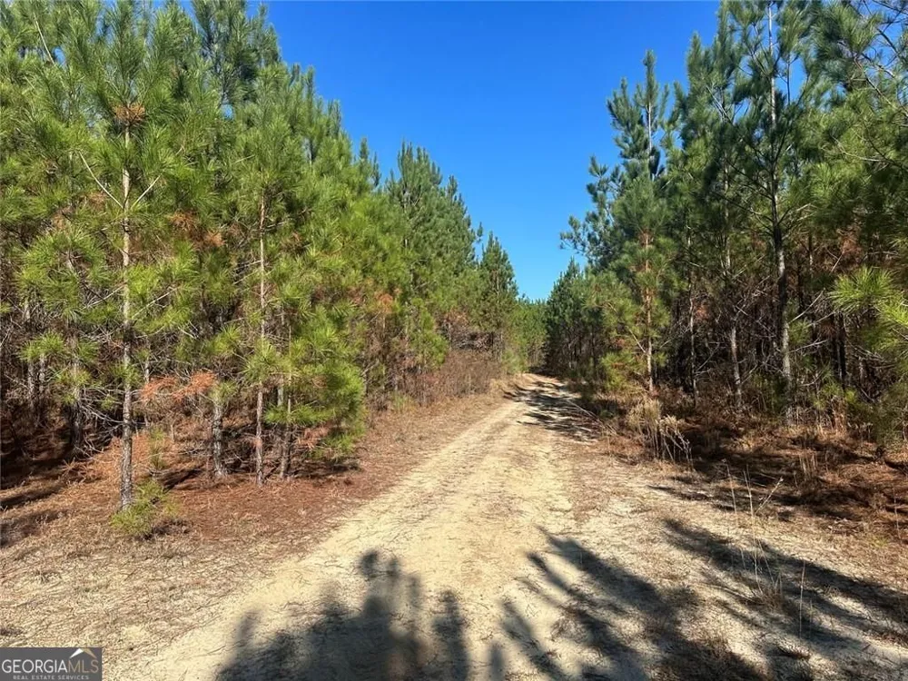 0 N Indian Trail RD Sandersville, GA 31082