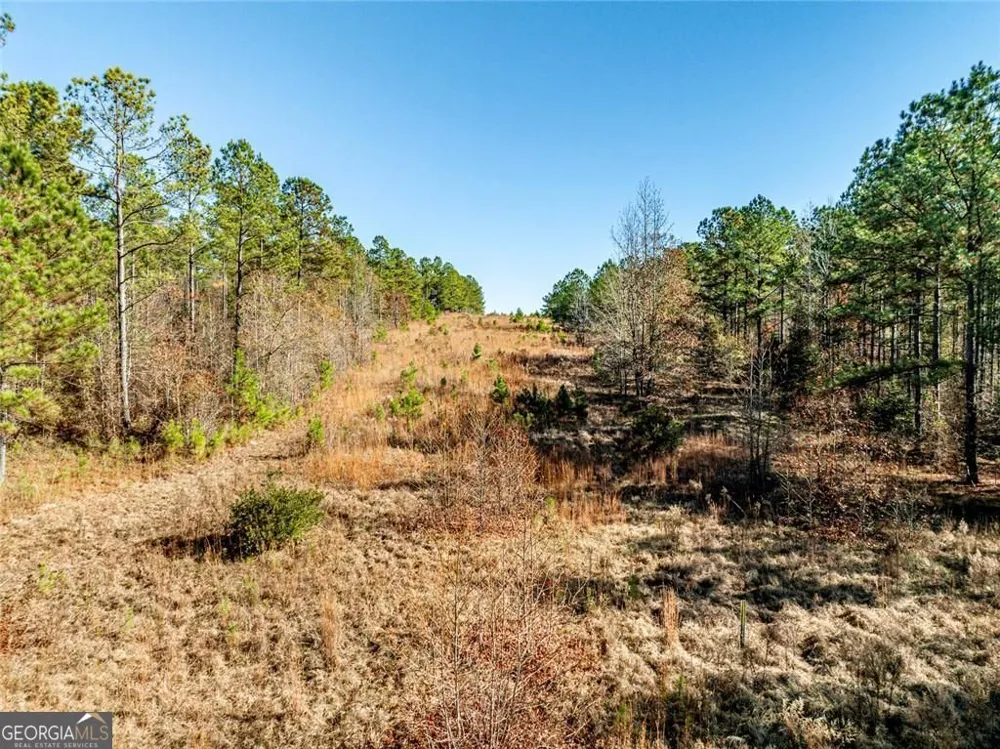 0 N Indian Trail RD Sandersville, GA 31082