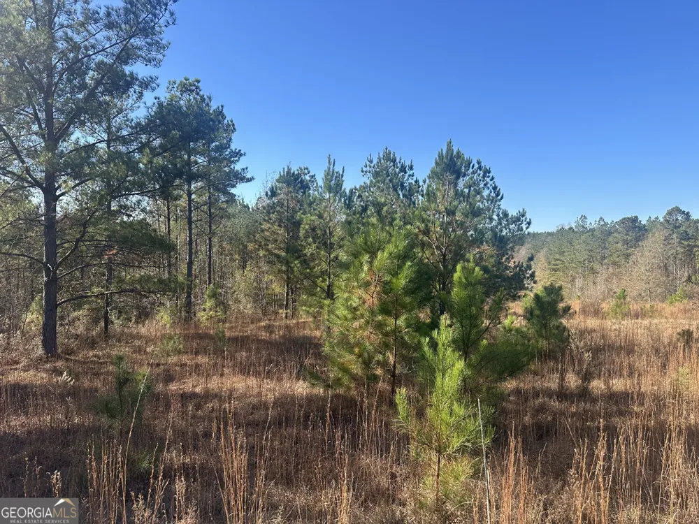 0 N Indian Trail RD Sandersville, GA 31082