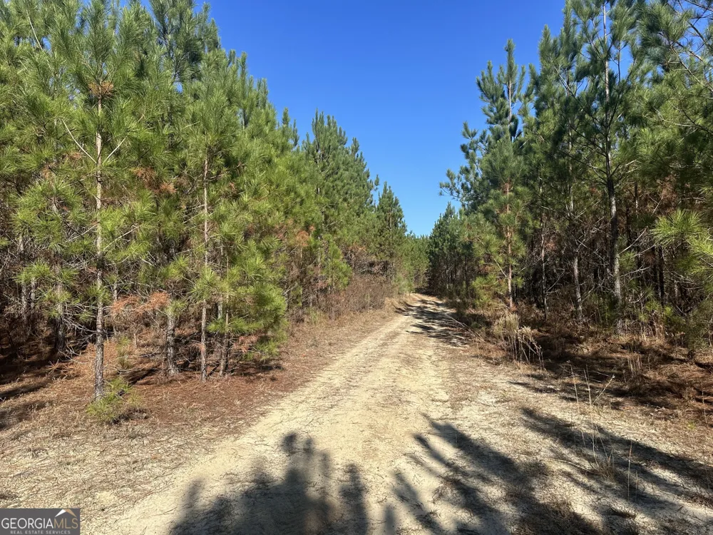 0 N Indian Trail RD Sandersville, GA 31082