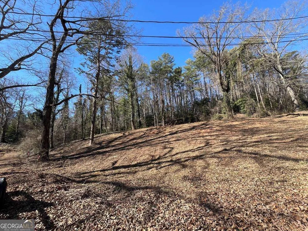 59 Bradley ST Blue Ridge, GA 30513