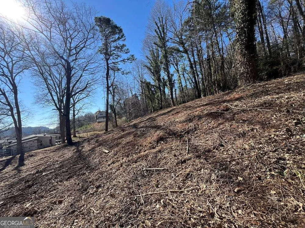 59 Bradley ST Blue Ridge, GA 30513