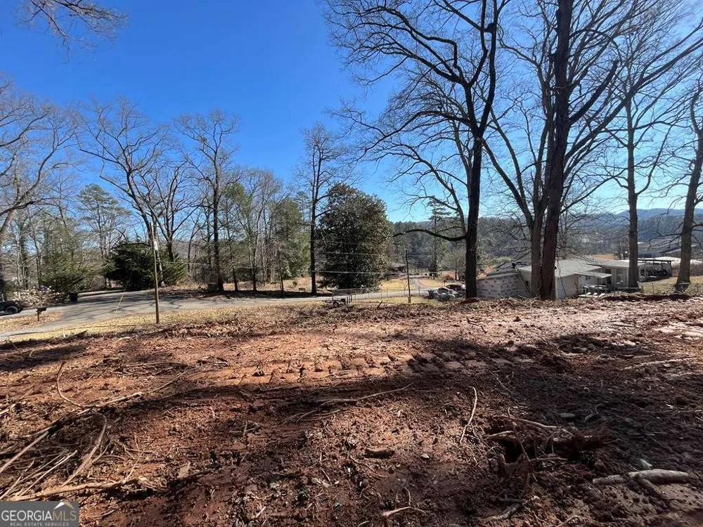 59 Bradley ST Blue Ridge, GA 30513