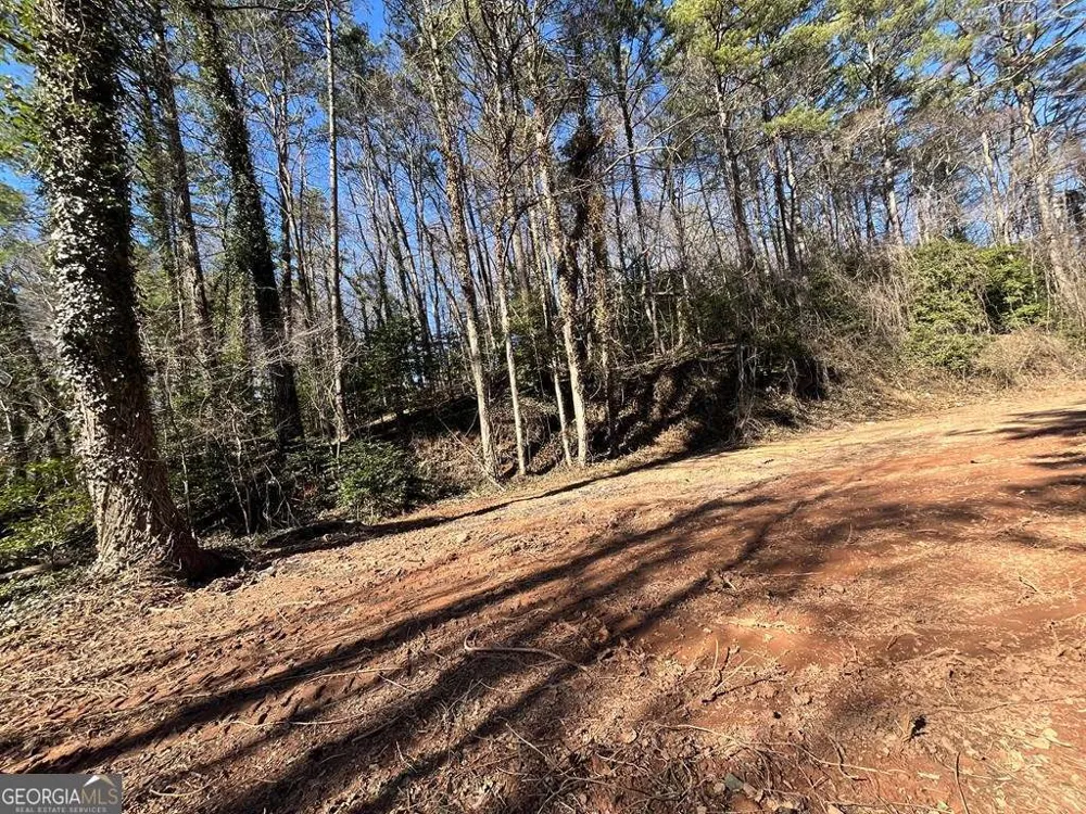 59 Bradley ST Blue Ridge, GA 30513