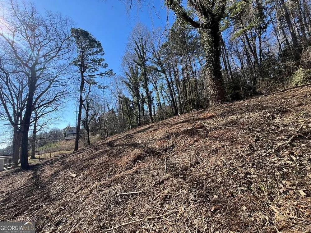 59 Bradley ST Blue Ridge, GA 30513
