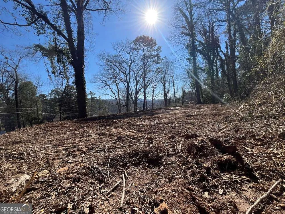 59 Bradley ST Blue Ridge, GA 30513