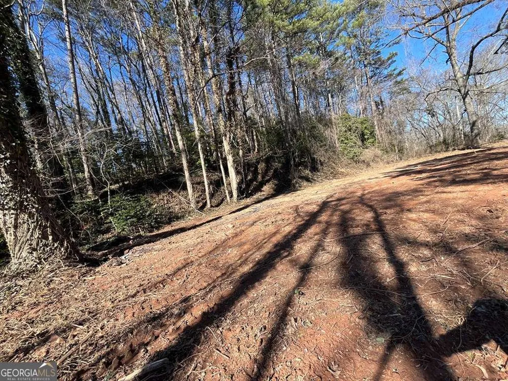 59 Bradley ST Blue Ridge, GA 30513