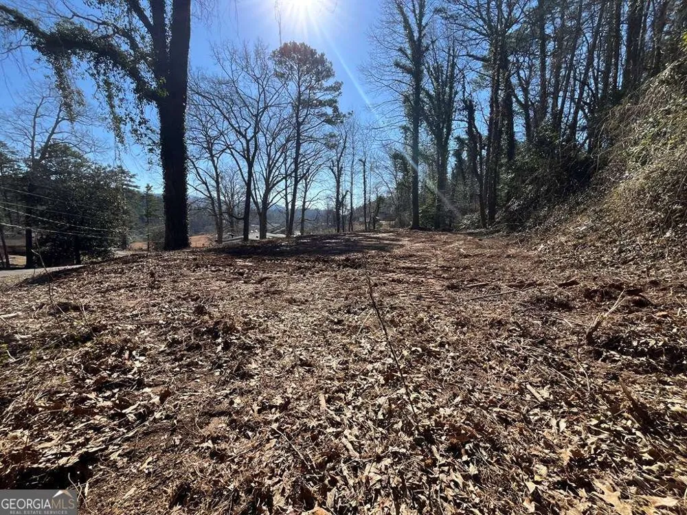 59 Bradley ST Blue Ridge, GA 30513