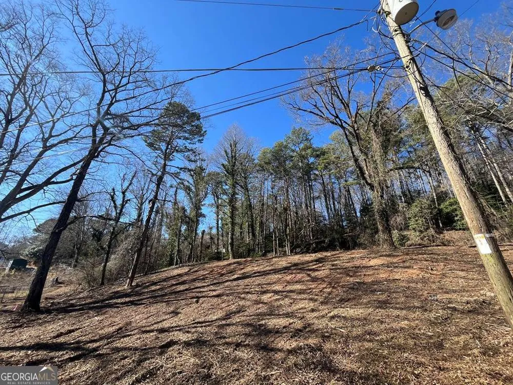 59 Bradley ST Blue Ridge, GA 30513